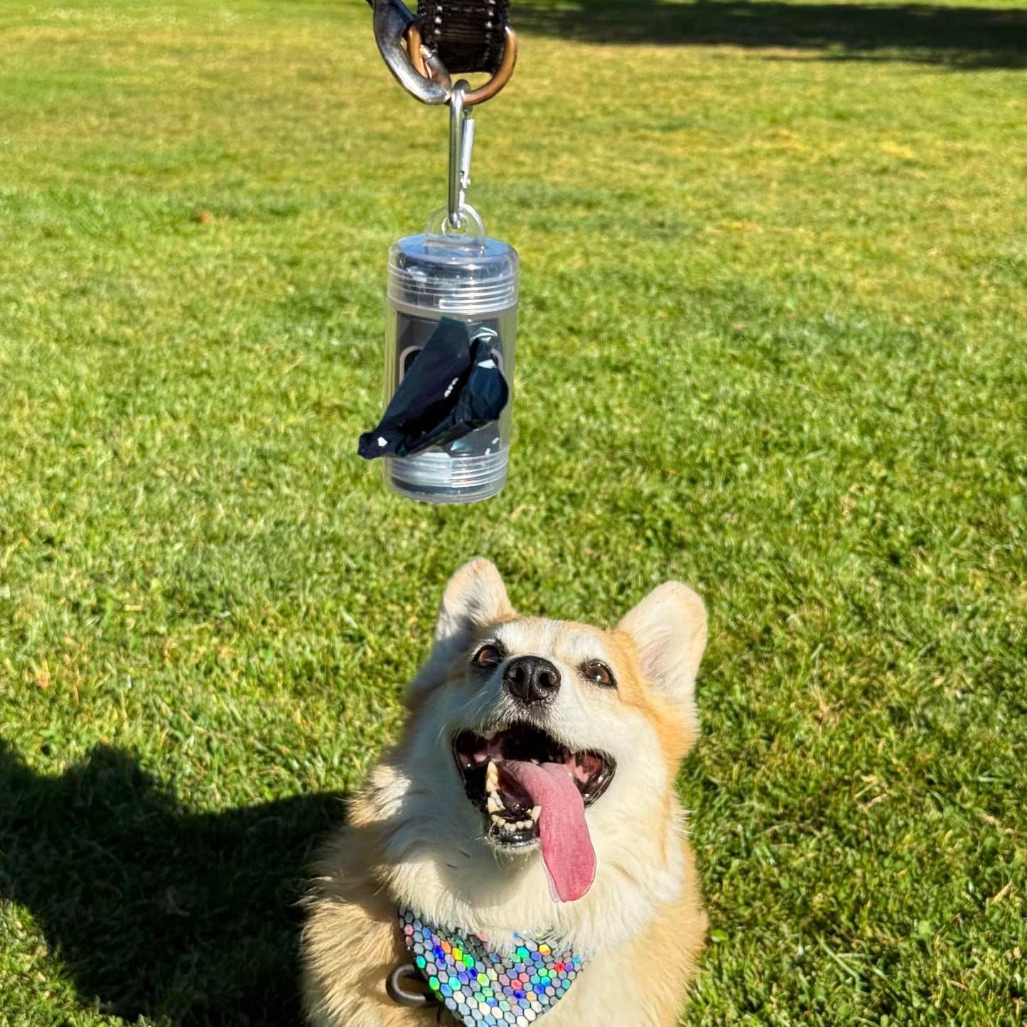 Transparent Poop Bag Holder with Reserve